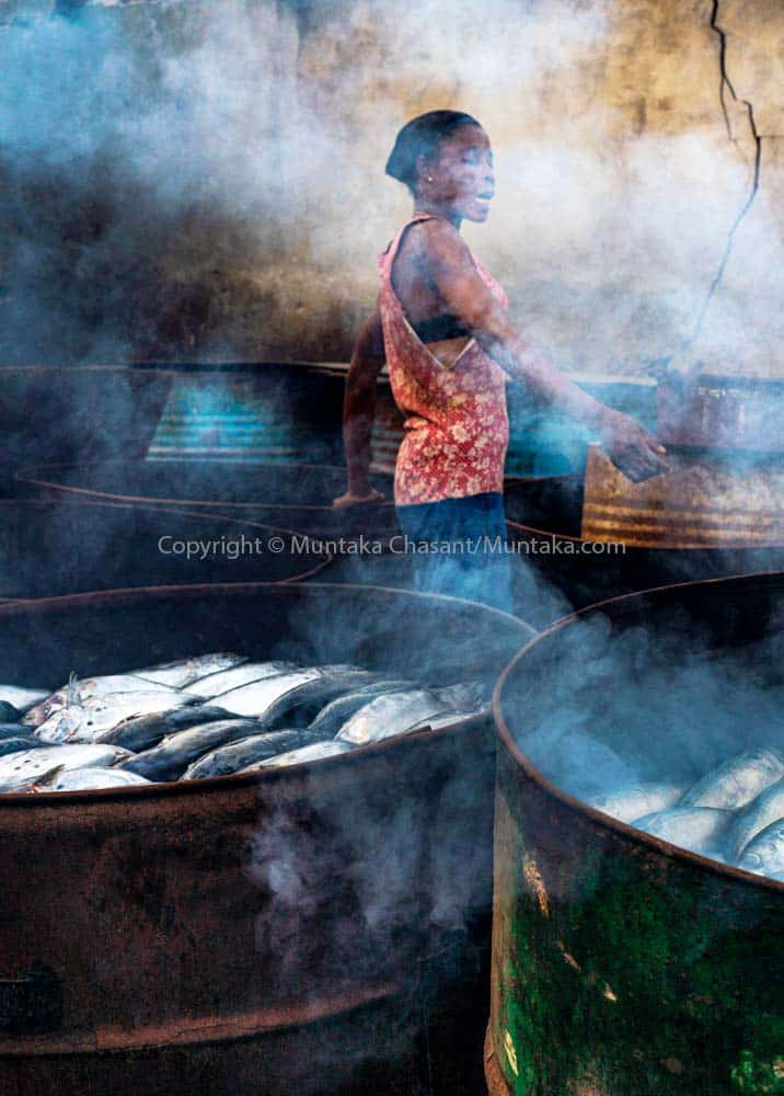 Fish smoking with traditional kiln in Ghana: Fish processor uses traditional metal drum kiln to smoke fish in Accra, Ghana. This exposed her to several air toxicants, including polycyclic aromatic hydrocarbons, which are known to be carcinogenic to humans. Around 500,000 people are engaged in the processing and marketing of fish in Ghana, the FAO figures show. Copyright © Muntaka Chasant