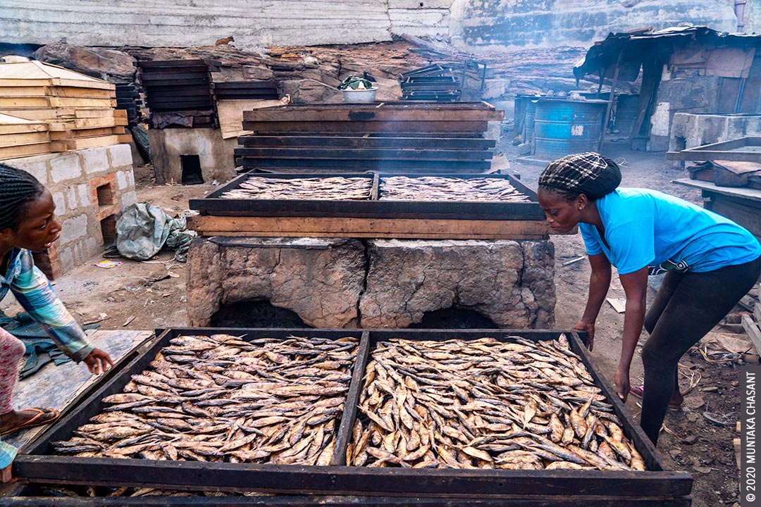 Fish Processing in Ghana Tradeoffs Between Livelihoods and Health