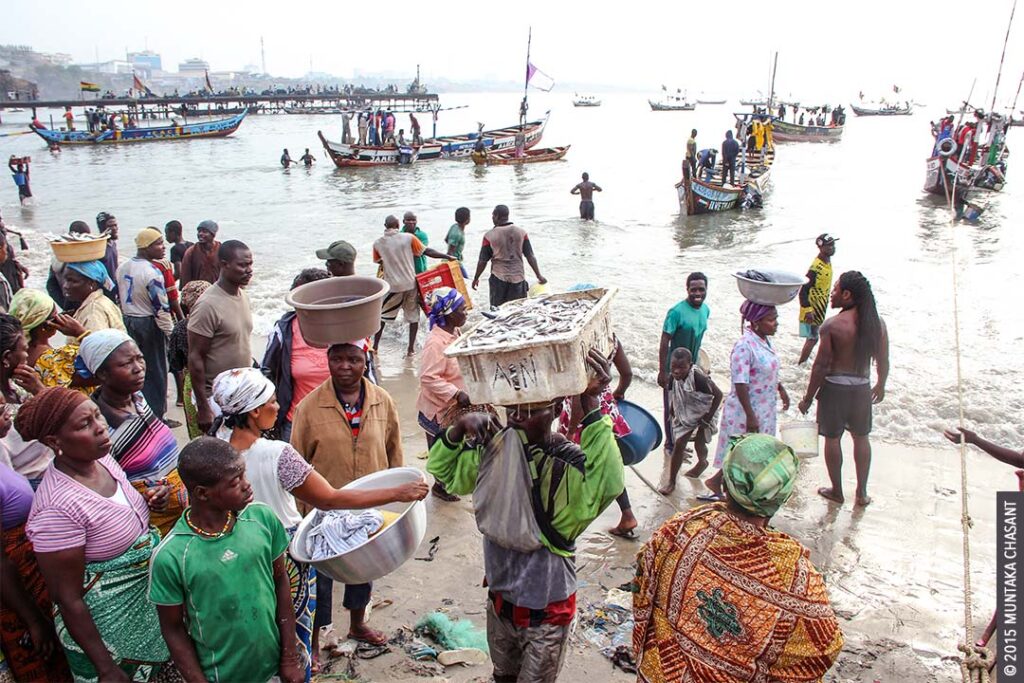 Fish Processing in Ghana Tradeoffs Between Livelihoods and Health