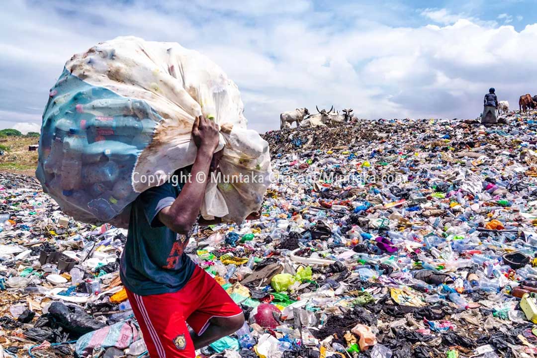 Over 7.8 billion plastic has been produced cumulatively since 1950. Only 20% of the plastic waste generated worldwide in 2015 was recycled. Copyright © Muntaka Chasant