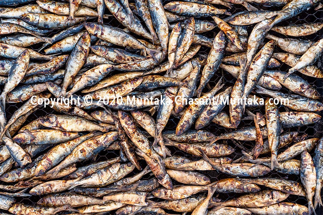 Smoked herring fish. Accra, Ghana. Copyright © 2020 Muntaka Chasant
