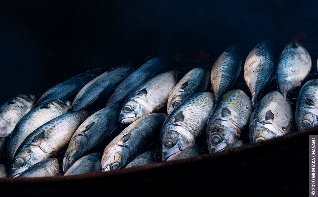 Fish Processing in Ghana Tradeoffs Between Livelihoods and Health