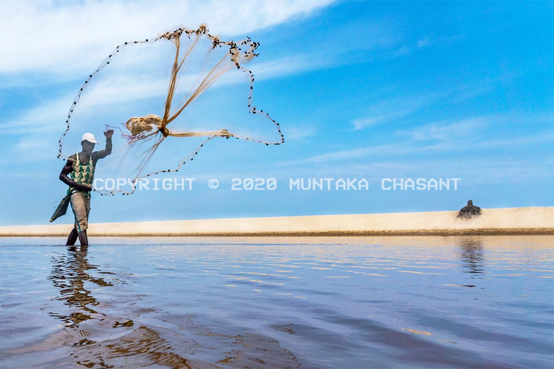 Fisherman in Ghana casting a net over the Amisa Lagoon in Ghana. Copyright © 2020 Muntaka Chasant