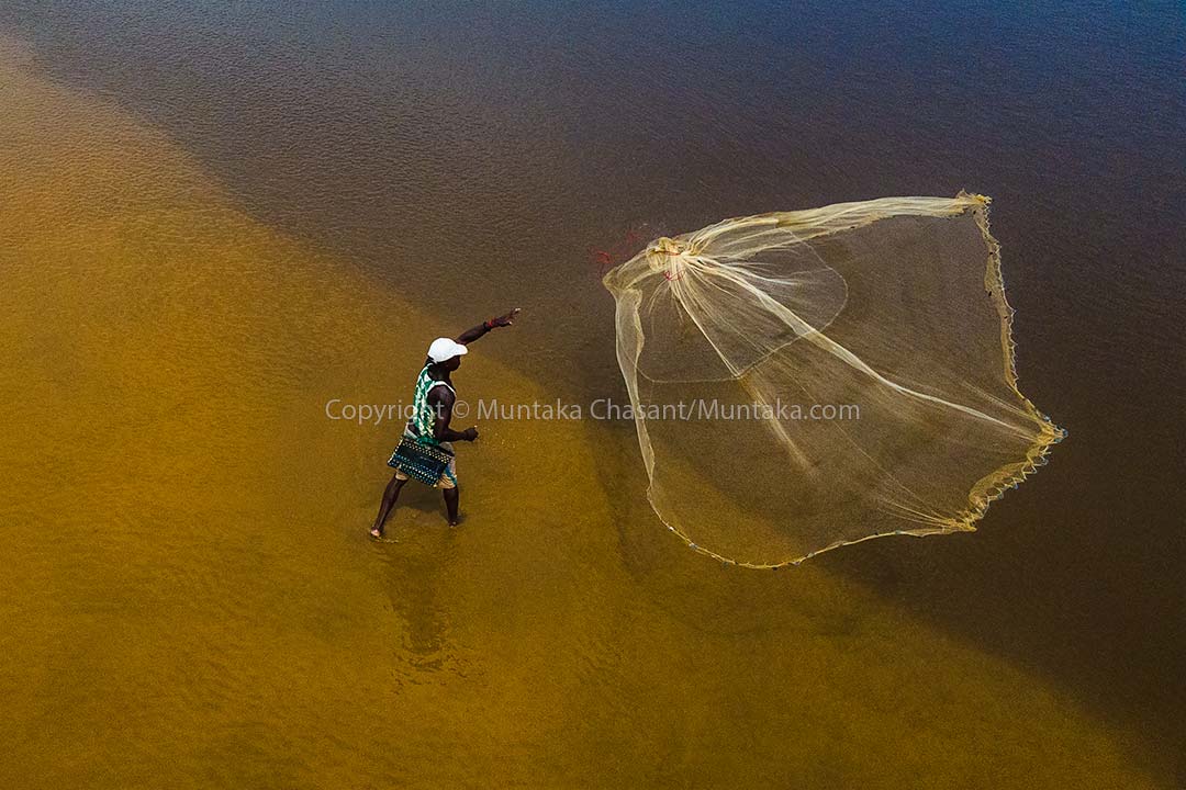 Climate change in Ghana: Fisherman casts a net over the Amisa Lagoon in Ghana. Kofi Odomna has attempted several times without a single catch. He gets zero catch when he goes out to sea. Ocean warming and other factors, including 'saiko,' light and blast fishing have contributed to the increased incidence of poverty among canoe fishers in Ghana. Copyright © Muntaka Chasant