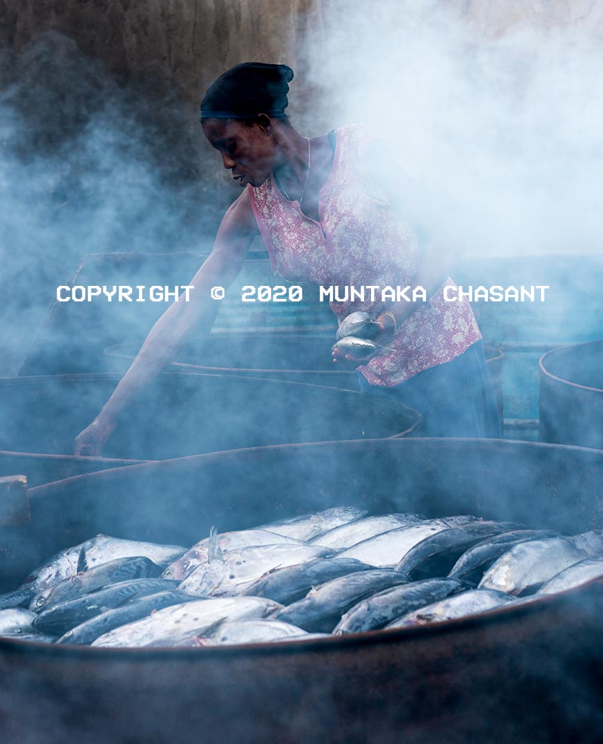 Fish smoking with traditional kiln in Ghana: Fish processor uses traditional metal drum kiln to smoke fish in Accra, Ghana. This exposed her to several air toxicants, including polycyclic aromatic hydrocarbons, which are known to be carcinogenic to humans. Around 500,000 people are engaged in the processing and marketing of fish in Ghana, the FAO figures show. Copyright © 2020 Muntaka Chasant