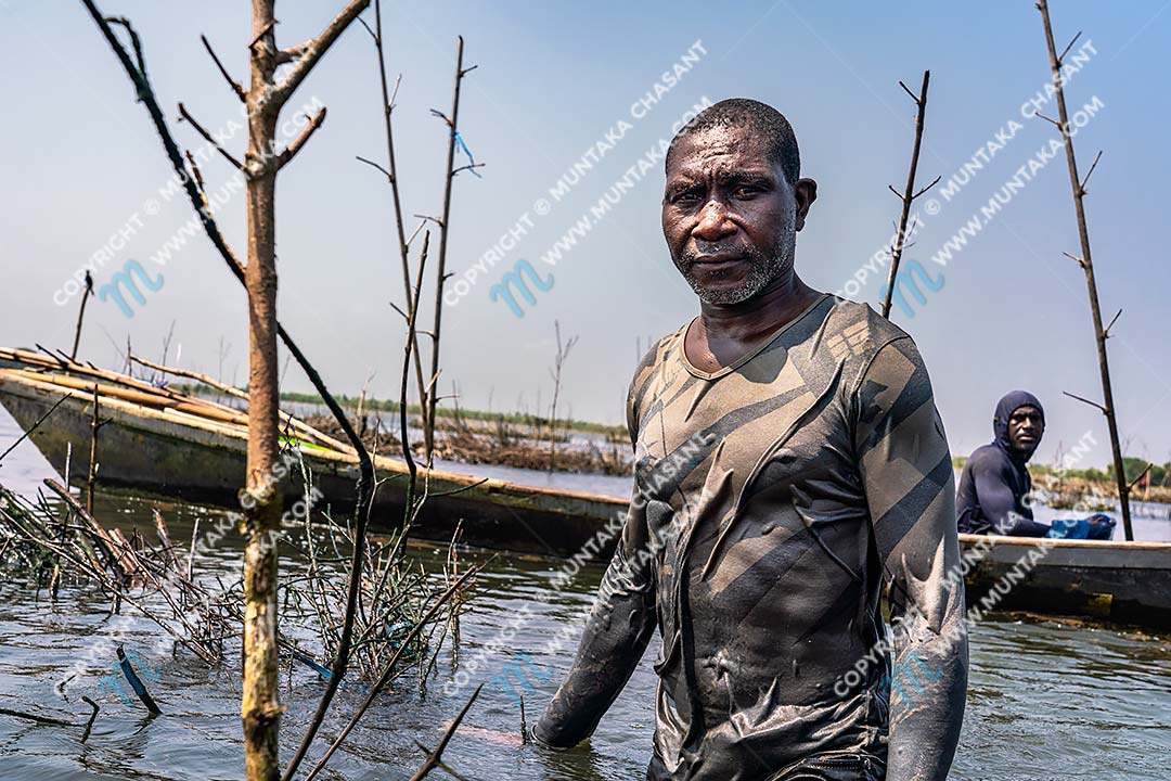 Tilapia fishing in Ghana: Joseph Akagbo (front) and Selassie Tsetsogbi (back) are Atidza/Acadja Blackchin Tilapia (Sarotherodon melanotheron) fishermen. They use black mangrove woods to create brush shelters to enhance Blackchin Tilapia production in the Densu Delta in Accra, Ghana. Copyright © 2020 Muntaka Chasant