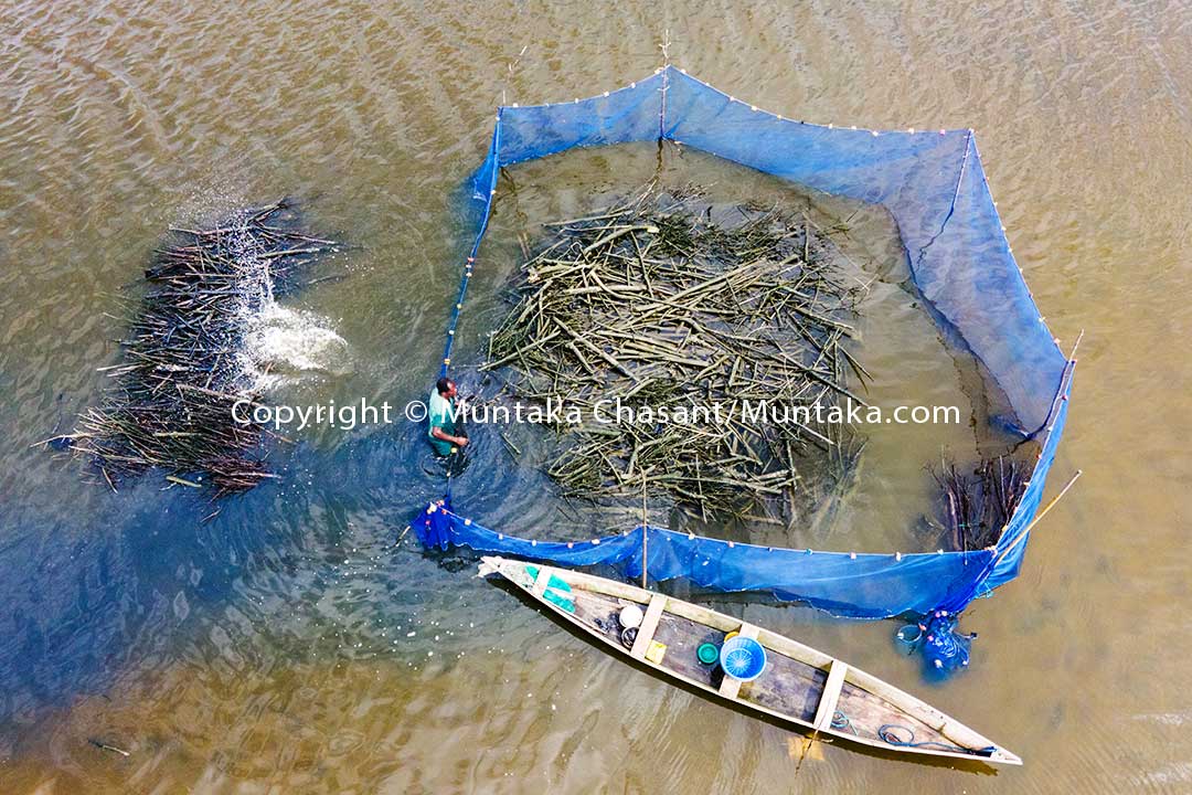 David removes brush piles and debris from a brush park to harvest blackchin tilapia. Copyright © 2020 Muntaka Chasant