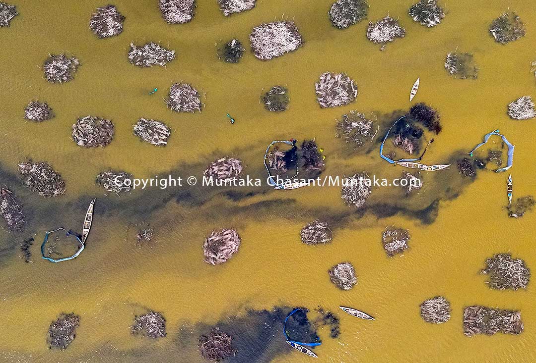 Aerial view of Atidza mangrove brush parks in the Densu Delta. Copyright © Muntaka Chasant
