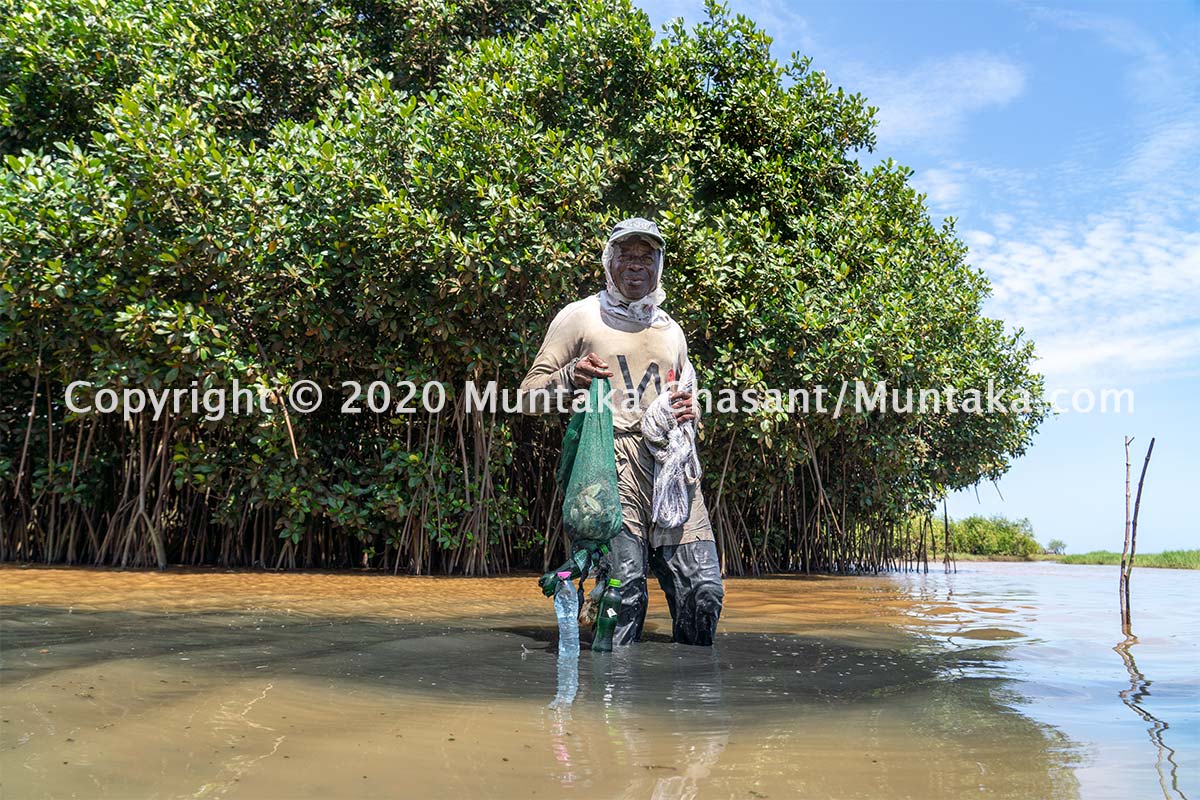 Fisherman displays his small catch after fishing for several hours. Mangroves serve as a home for a variety of fish species, but they are under threat. Copyright © 2020 Muntaka Chasant