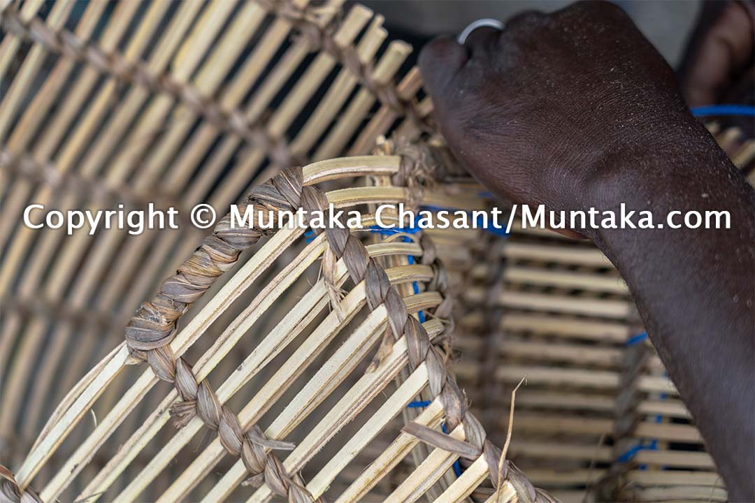Blue crab trap making. Copyright © Muntaka Chasant