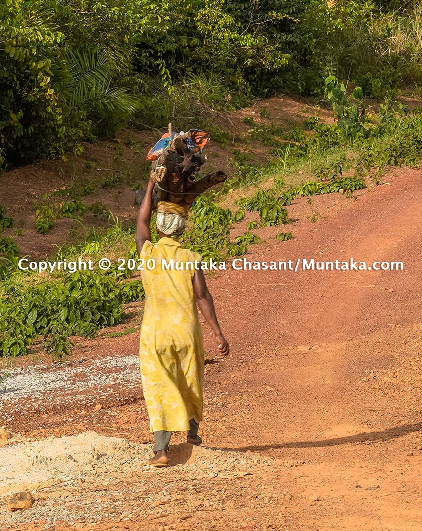 A rural poor woman in Ghana from the farm transports fuelwood on her head and walks on a dirt road. Copyright © 2020 Muntaka Chasant
