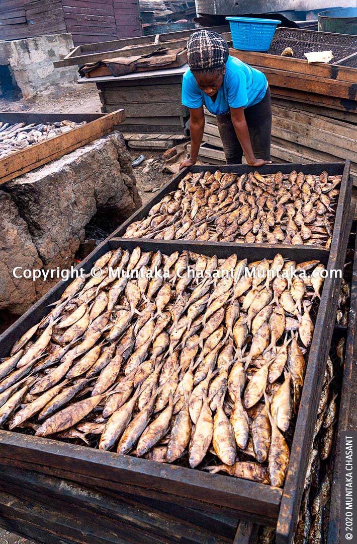 Fish Processing in Ghana Tradeoffs Between Livelihoods and Health