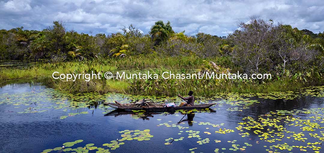 A woman makes her way through a wetland. Copyright © Muntaka Chasant