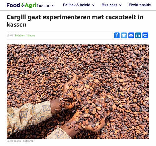 Food & Agribusiness