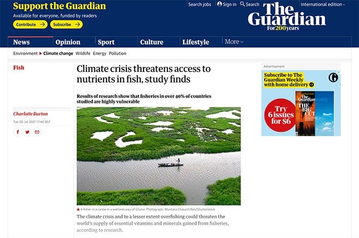 2021 Tearsheets: The Guardian