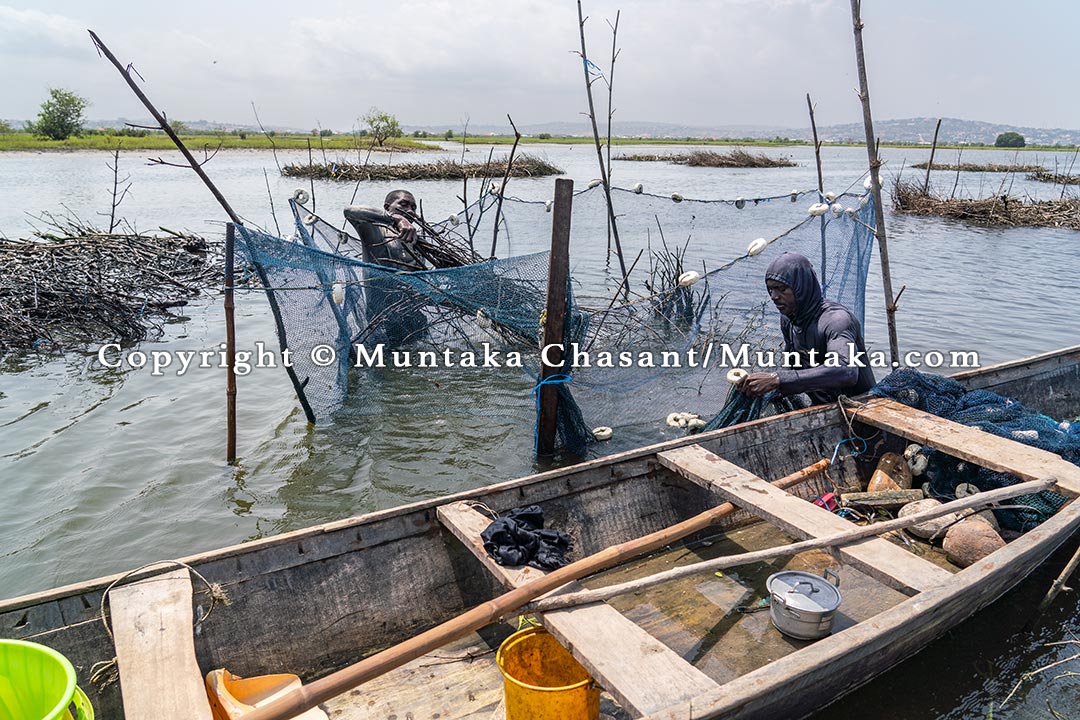 Atidza brush park fishing, Accra, Ghana. Copyright © Muntaka Chasant