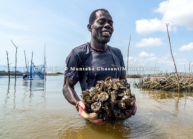 Ongoing Project: Climate Change and Fisheries
