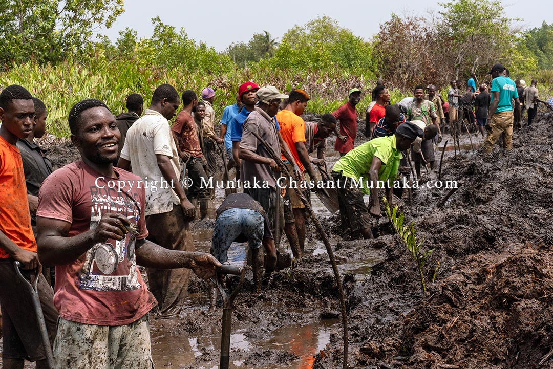 Desperate rural men use shovels and bare hands to dig in an attempt to create a channel. Copyright © Muntaka Chasant