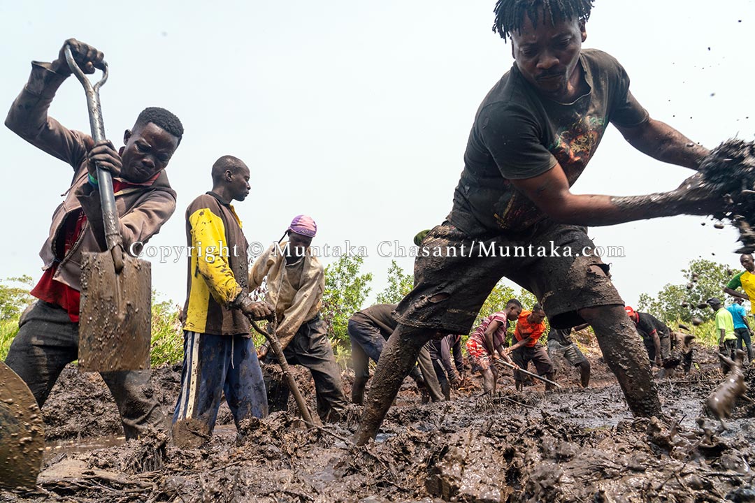 Desperate men use shovels and their bare hands to dig through a swamp. Copyright © Muntaka Chasant
