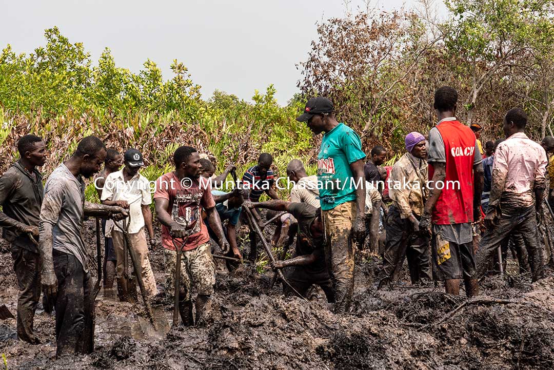 Desperate men use shovels and their bare hands to dig through a swamp. Copyright © Muntaka Chasant