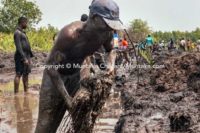 #half The old and the frail all came to dig with shovels and bare hands. Copyright © Muntaka Chasant